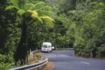 Transport in New Zealand for the Rugby World Cup Photo: Destination Northland